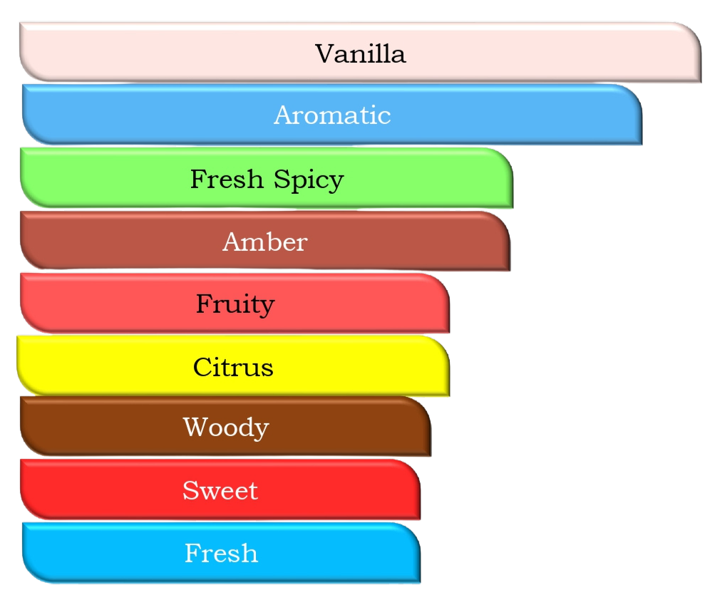 Passion Storm - an impression of Versace Eros - EDP/30 ML