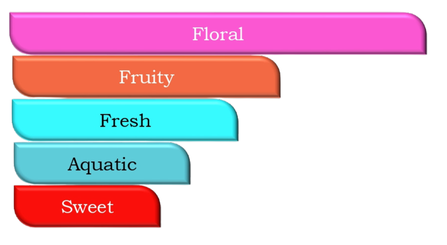 Satin Spell - an impression of Victoria's Secret BS - EDP/30 ML